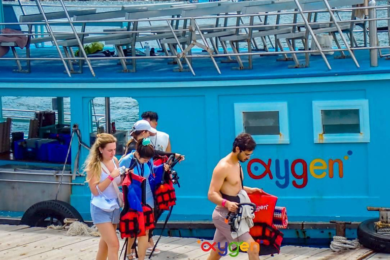 Koh Tao in a Day: Turtles, Hidden Reefs & Nangyuan Viewpoint