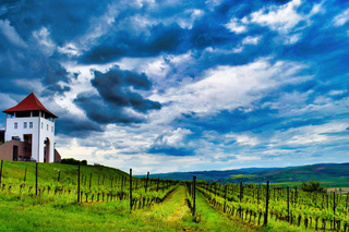 Gastronomic Experiences in Cluj-Napoca