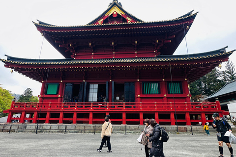 From Tokyo: Nikko World Heritage Private Tour with Guide Nikko World Heritage Full Day share Van tour