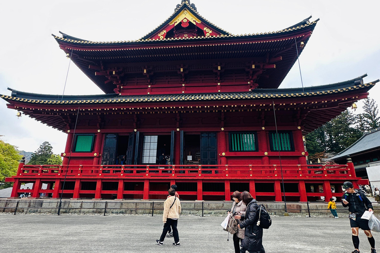 From Tokyo: Nikko World Heritage Private Tour with Guide Nikko World Heritage Full Day share Van tour