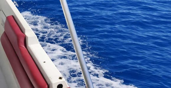 Discover Ortigia by Boat: Hidden Caves & Dolphins