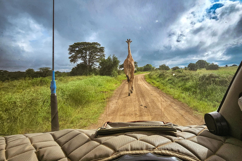 Nairobi National Park: Photography-Focused Safari