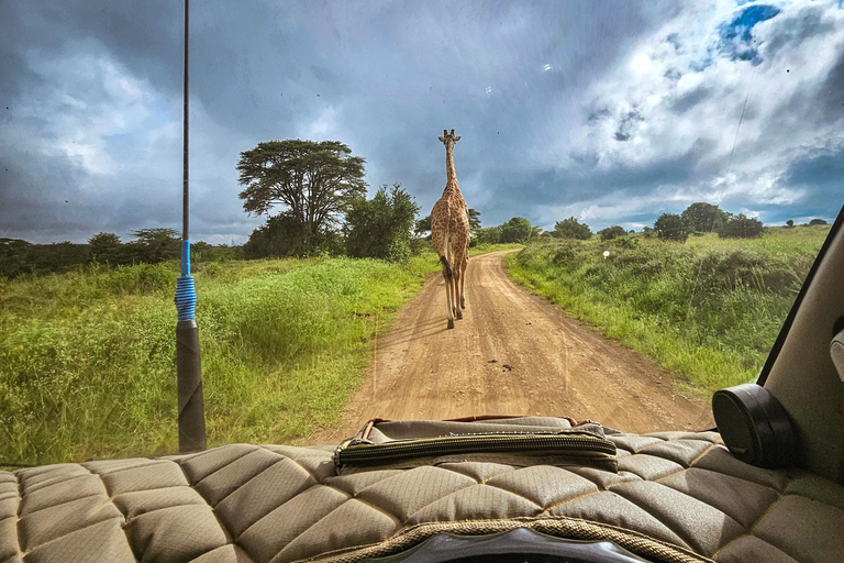 Nairobi National Park: Photography-Focused Safari