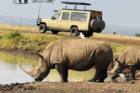 Nairobi National Park 5-Hour Jeep Safari Nairobi National Park Half-Day Private Jeep Safari