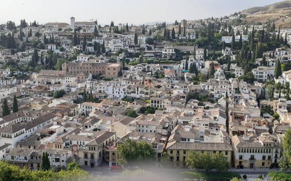 Geführte Tour durch das historische und kulturelle Erbe Granadas