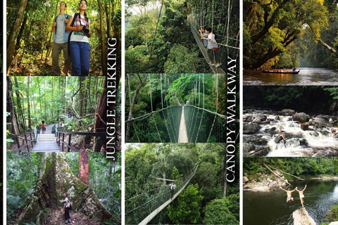 Kuala Lumpur: 3-Days Taman Negara National Park Adventure