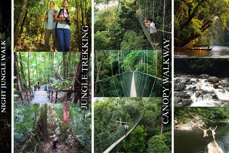Kuala Lumpur: 3-Days Taman Negara National Park Adventure
