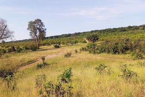 Cataratas Victoria: Visitas guiadas y traslados
