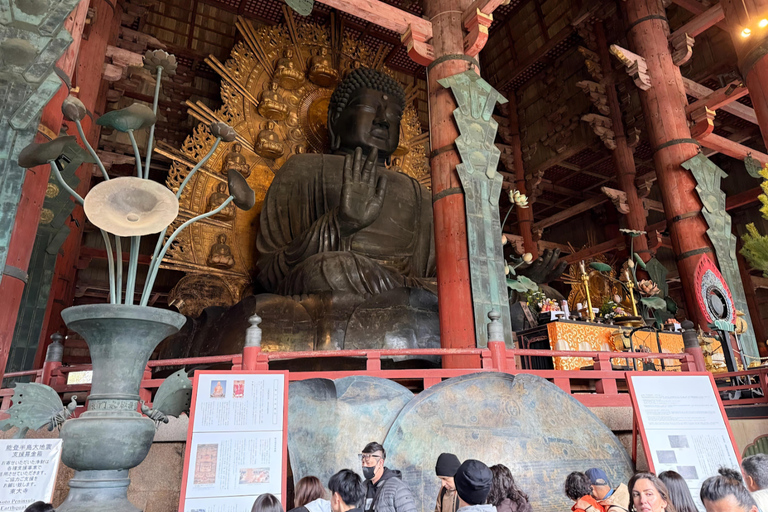 Nara: Private Car Tour of Hidden Gems & Ancient Icons