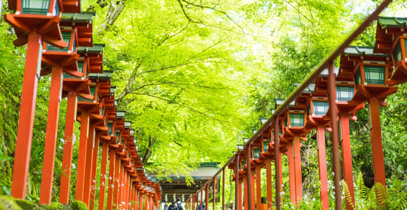 Sacred Peak & Ancient Paths: Kurama-Kibune Hiking Experience