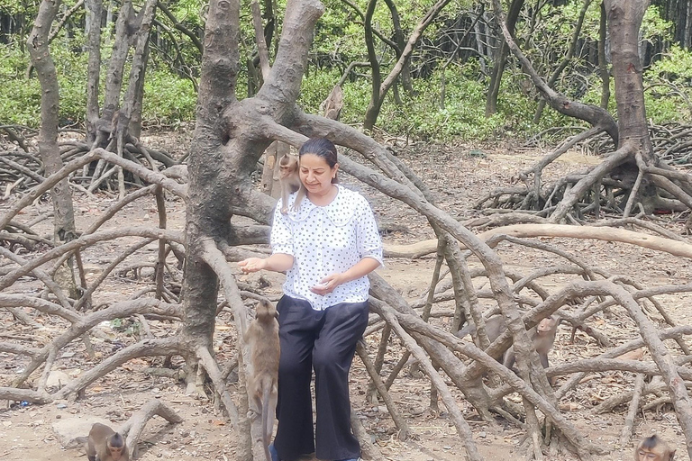 Tour de día completo por el bosque de manglares de Can Gio y la Isla de los Monos