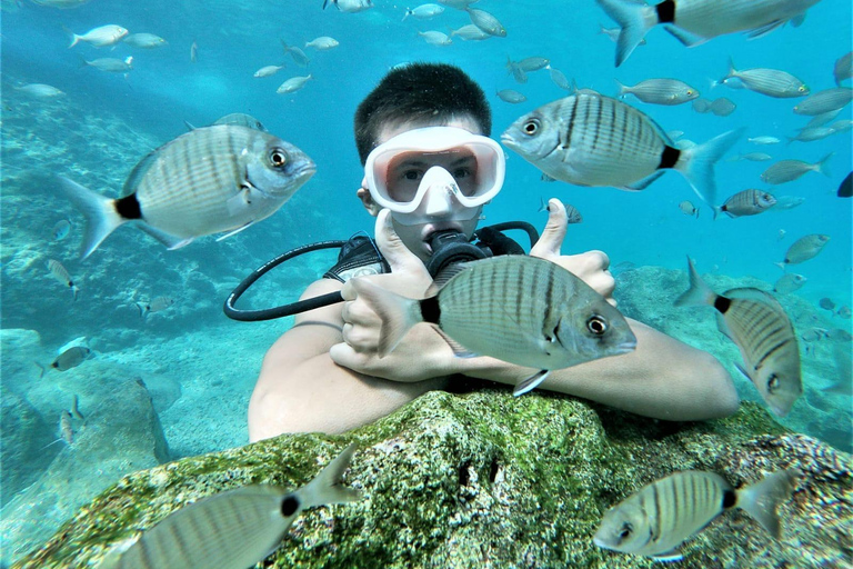 Antalya: Kemer Scuba Diving for Beginners & Certified Divers For Beginners Divers