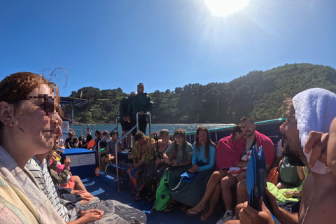 Vila Franca Islet: Snorkeling Inside the Crater