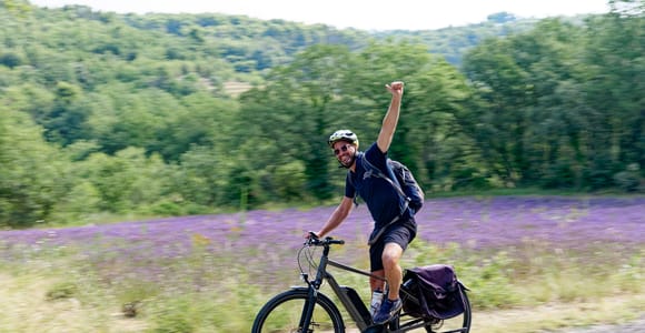 Ab Avignon: Ganztägige E-Bike-Tour in der Region Luberon