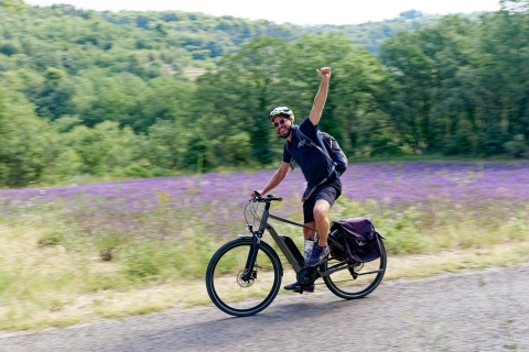 Ab Avignon: Ganztägige E-Bike-Tour im Luberon
