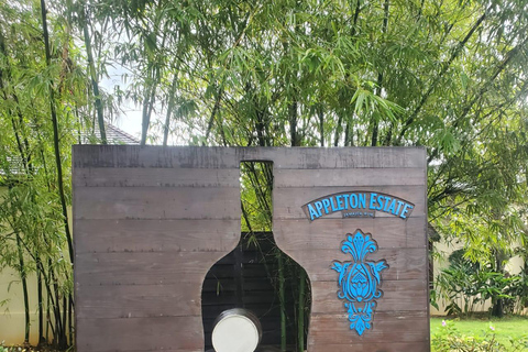 Appleton Rum Factory Tour: Montego Bay & Falmouth Pickup