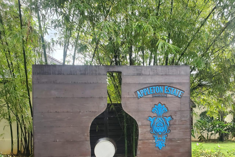 Appleton Rum Factory Tour: Montego Bay & Falmouth Pickup