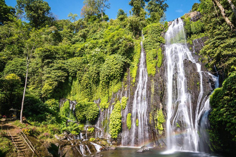 Bali: North Bali Waterfalls Private Tour with Guide