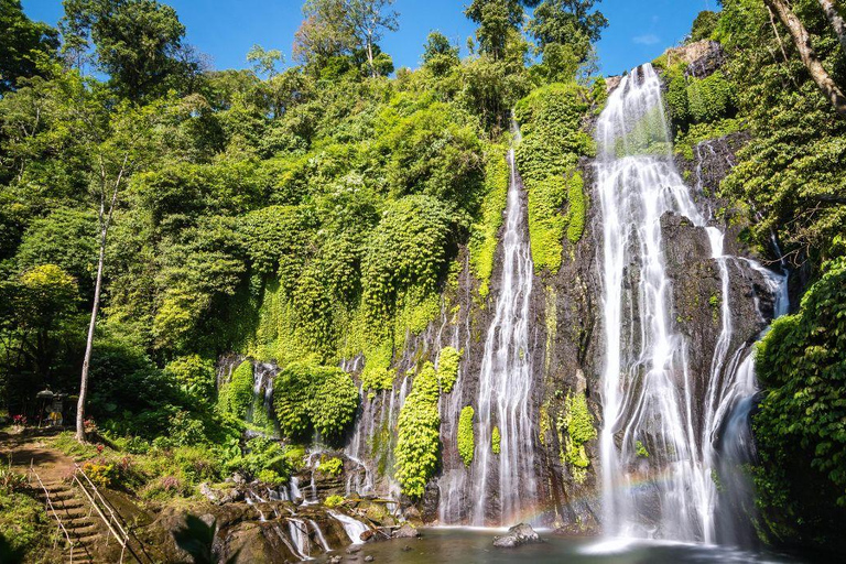 Bali: North Bali Waterfalls Private Tour with Guide