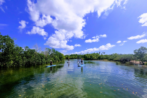 Zanzibar: Unik guidad mangrovetur med SUP eller kajak