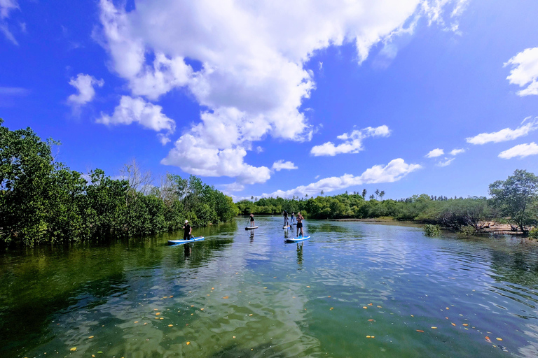 Zanzibar: Unik guidad mangrovetur med SUP eller kajak