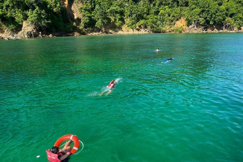 Kota Kinabalu: Catamaran Snorkel & Sailing Tour with Meal Catamaran Afternoon Session