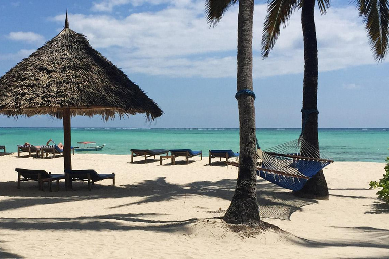 1 Day: Zanzibar trip to Spice and Forest