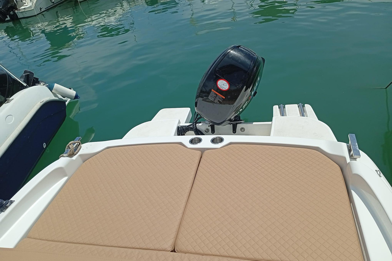 ماربيا: تأجير قوارب بدون ترخيص لمشاهدة الدلافينإيجار لمدة 30 دقيقة