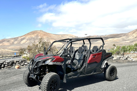 Family buggy - 4 seats, on road tour