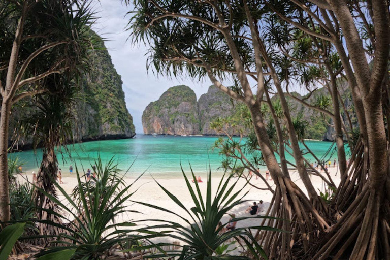 Phuket: Premium Day Trip to Phi Phi-Maya-Bamboo Island Phuket: Premium Phi Phi-Bamboo Islands Speed Catamaran Trip