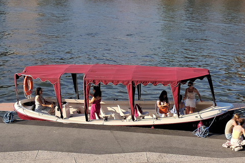 Ship "Wroclavia" Odra River Boat Tour in Wroclaw