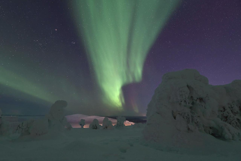 Levi: Nordlichtjagd mit MinivanLevi: Mit dem Minivan auf Nordlichtjagd