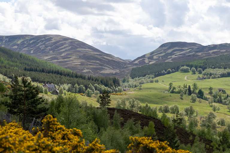 Edimburgo: Tour por Glencoe, Lago Ness e Pitlochry
