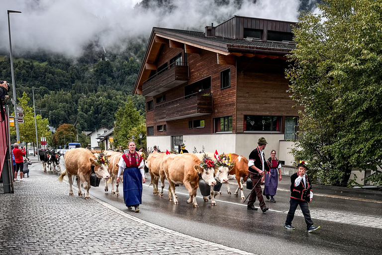 Kraschlandning på dig: Schweiz dagstur från Zürich