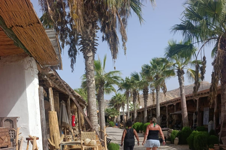 Agadir: Taghazout, Aghroud Village & Timlalin Desert Tour