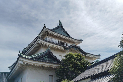 Wakayama: Tokugawa Castle That Guarded the Southern Coast From JR Wakayama Station