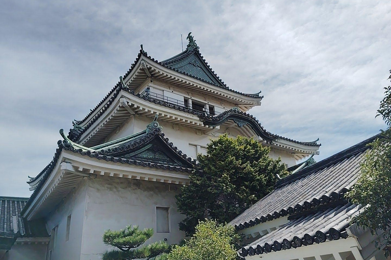 Wakayama: Tokugawa Castle That Guarded the Southern Coast From JR Wakayama Station