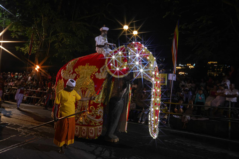 From Colombo: 2-Day Curated Kandy Esala Perahera Experience
