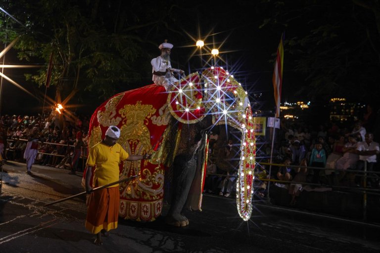 From Colombo: 2-Day Curated Kandy Esala Perahera Experience