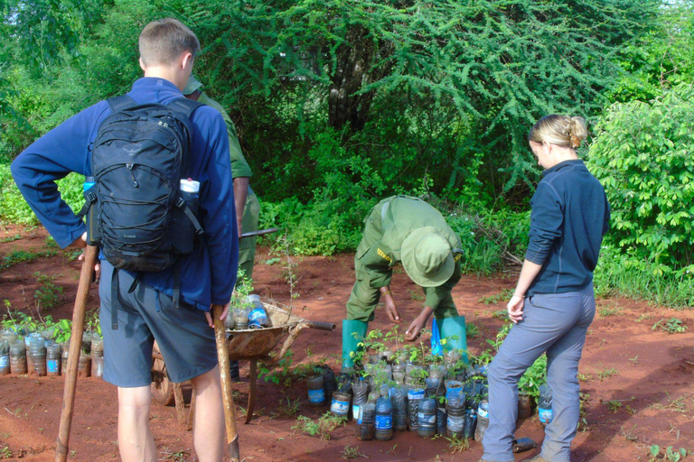 14Days Volunteer Community Wildlife Sanctuary (14 dias de voluntariado no santuário de vida selvagem da comunidade)