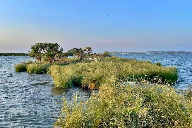 Entebbe: Guided Walking Tour & Lake Victoria Sunset Cruise