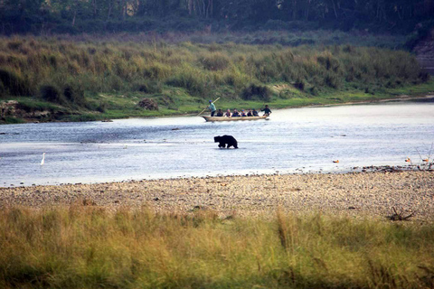 From Kathmandu/Pokhara: Chitwan Jungle Safari 2/3/4-Day Tour From Kathmandu/Pokhara: Chitwan Jungle Safari 4-Day Tour