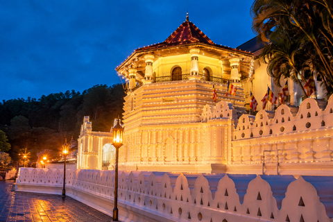 From Sigiriya to Kandy: Cultural Journey with Local