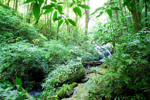 Chiang Mai: Doi Inthanon, watervallen en stamdorpentour