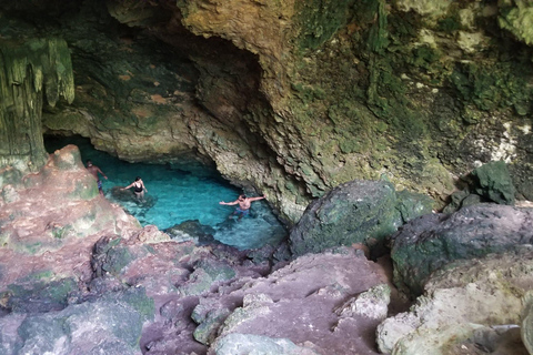 Zanzibar: tour guidato della foresta di Jozani e della grotta di Kuza