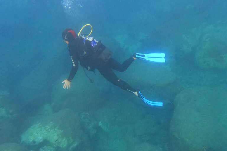 Salou: Scuba Diving for Beginners