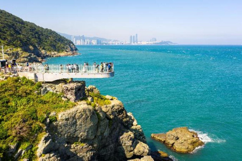 Busan Private Cultural&Coastal Tour with Sunset Yacht Cruise