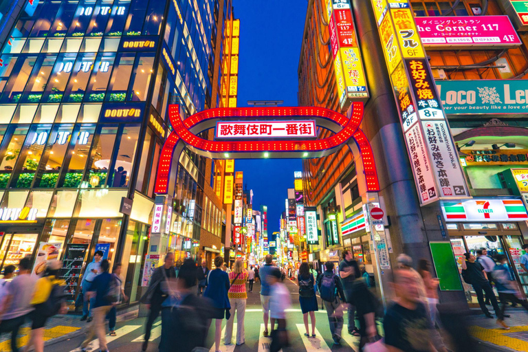 Tokyo Private & Customizable Tour with English Driver Guide