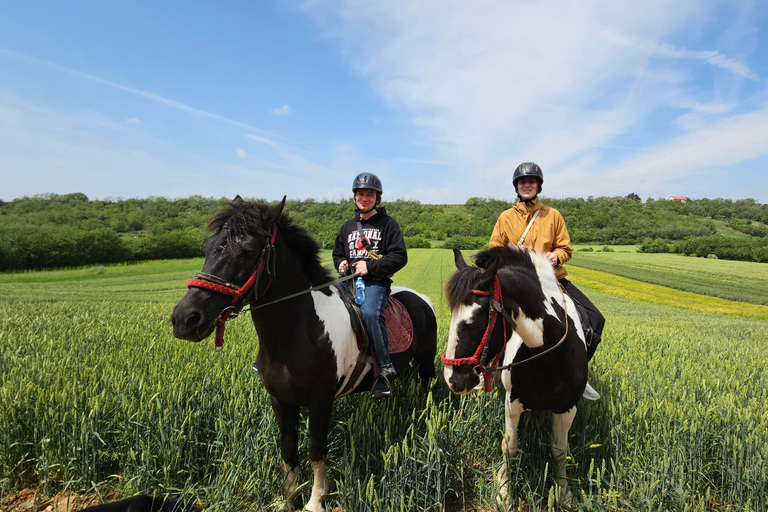 Horseback Trail Riding and Hiking - Day Trip from Belgrade