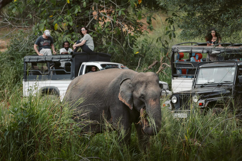 Sigiriya: Polonnaruwa & Wildlife Safari Day Tour